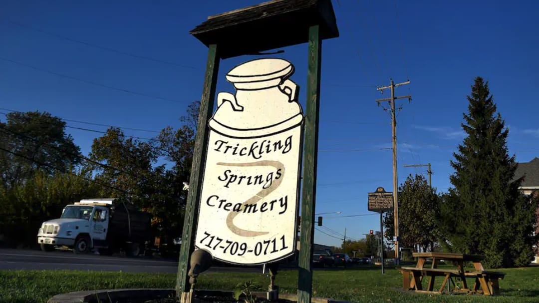 Maryland dairy plans to relaunch the Trickling Springs brand