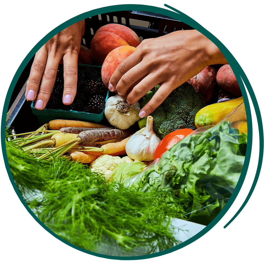 a table full of fresh vegetables.
