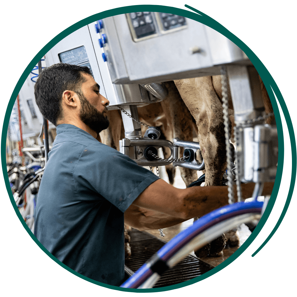 man operating machine in the dairy